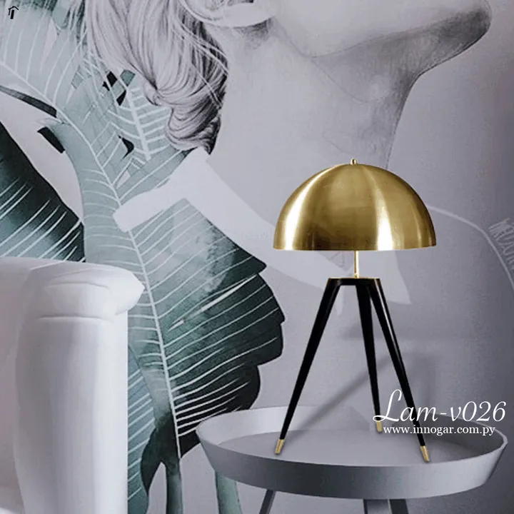 Lámpara / Lam-v026 60cm, foto 2