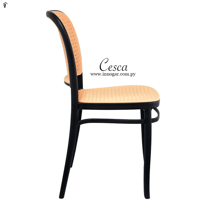 Silla Amis 1145 / Bicolor, foto 2